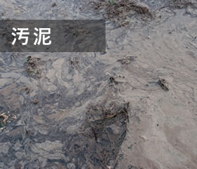 汚泥