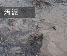 汚泥